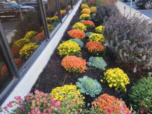 bucks county pa commercial flower bed install