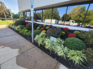 bucks county pa commercial flower bed installation