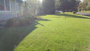 bucks county pa new lawn install