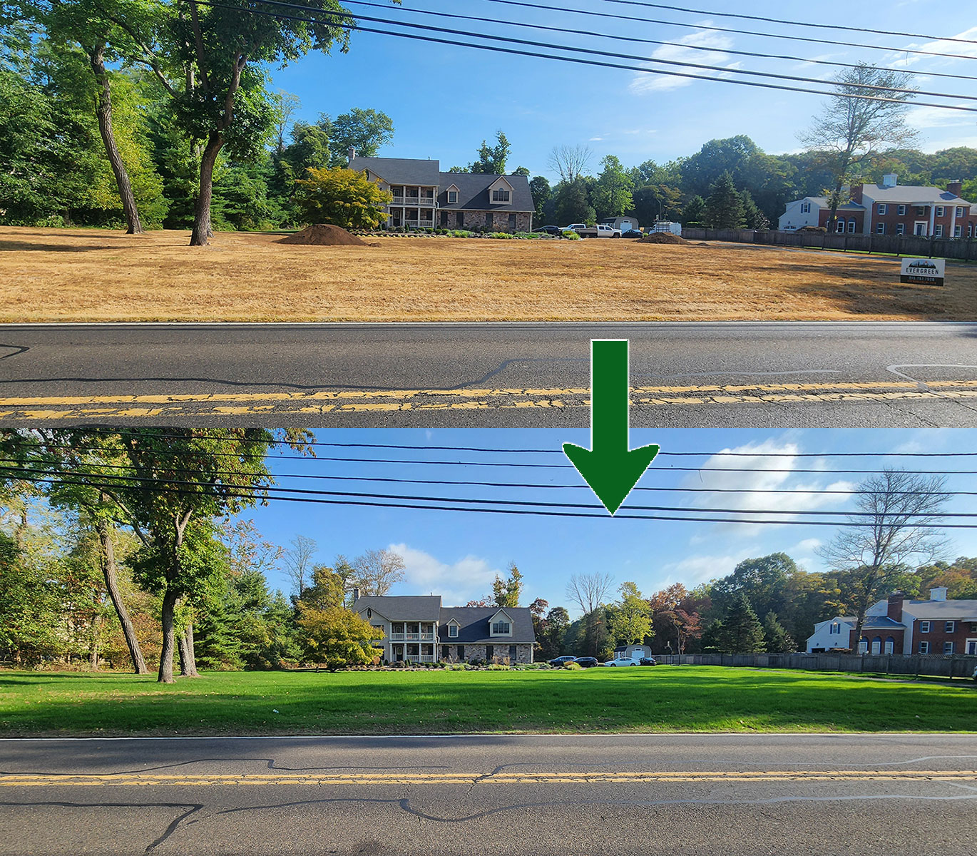 complete lawn renovation bucks county pa