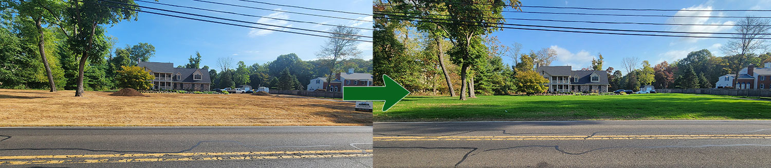 complete lawn renovation bucks county