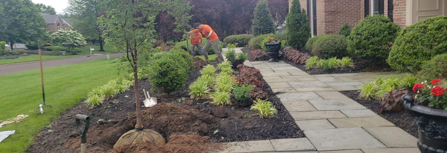 garden bed design planting bucks county