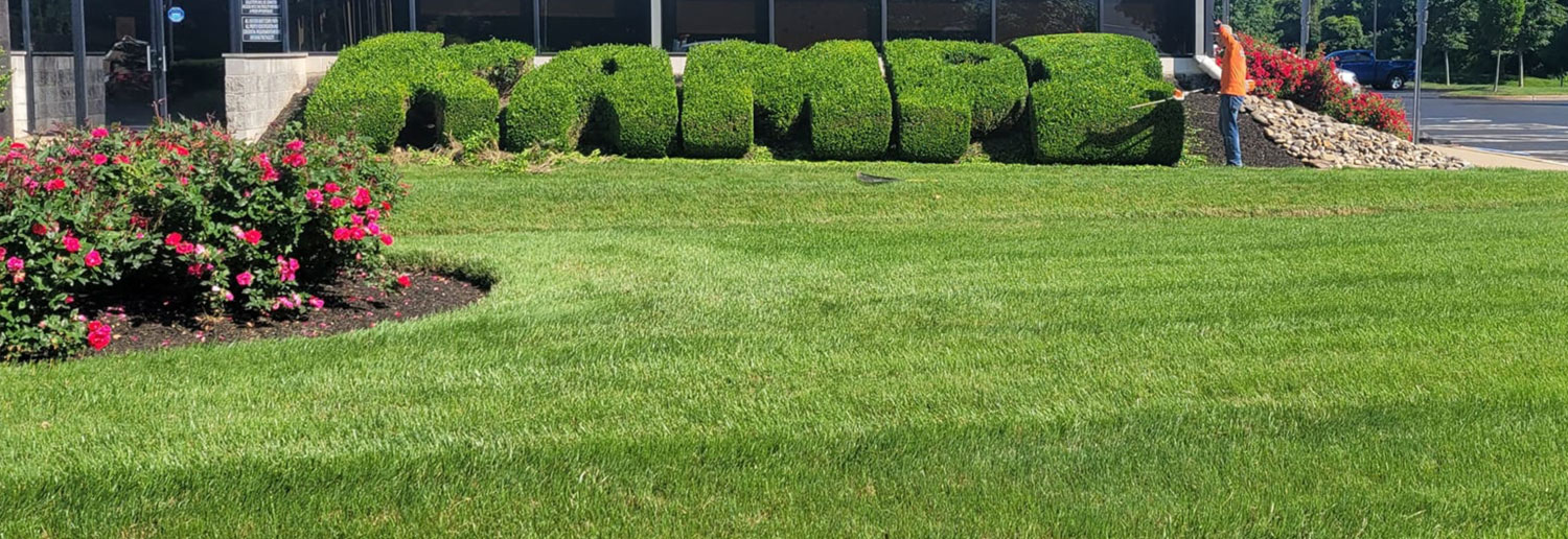 lawn care maintenance bucks county