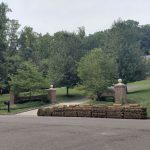 new hope lawn replacment service