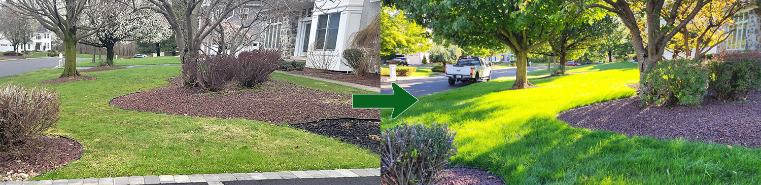 partial lawn renovation bucks county