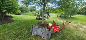 property tree privacy screen planting lower makefield township pa