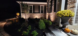 residential landscape lighting company holland pa