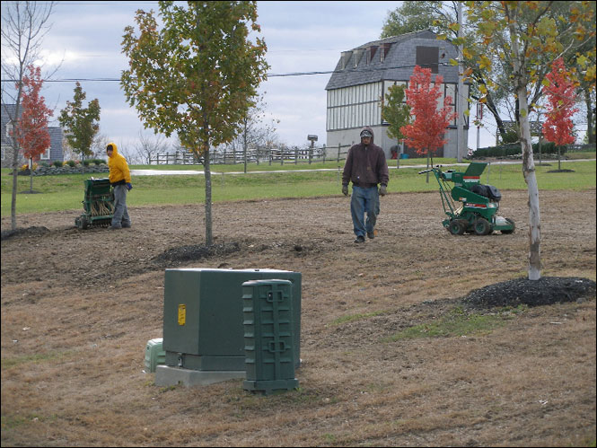 services-lawn-renovation-bucks-county