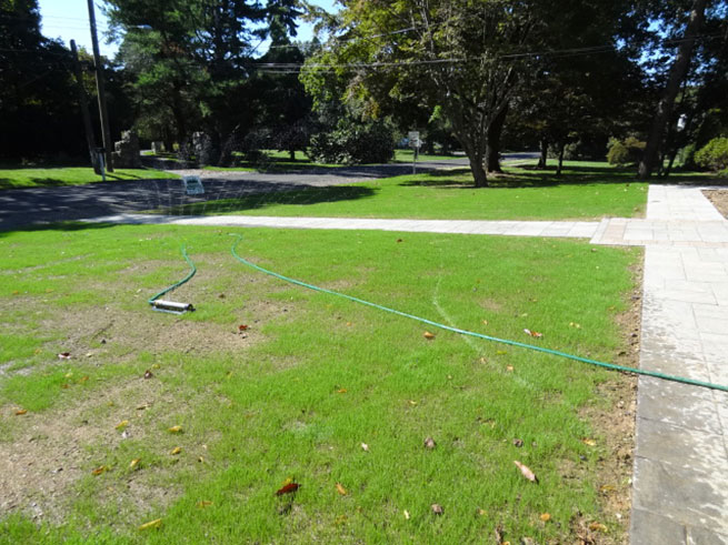 services-turf-renovation-bucks-county